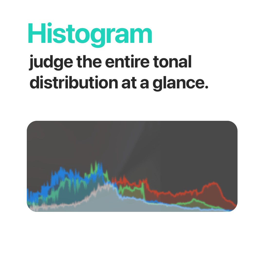 Histogram - judge the entire tonal distribution at a glance