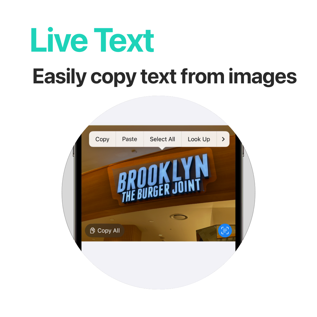 Live Text - Easily copy text from images