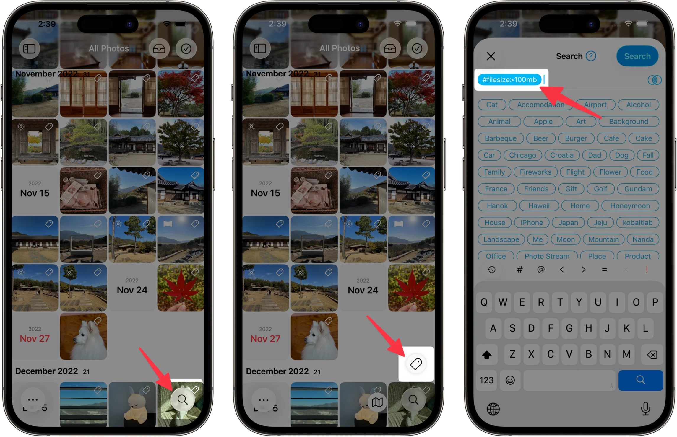 按文件大小搜索照片和视频
